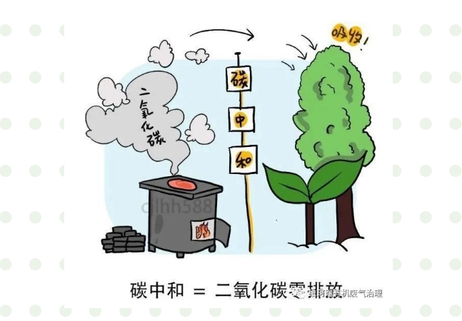 “碳中和、碳達峰”構(gòu)建綠色、低碳、循環(huán)的可持續(xù)發(fā)展經(jīng)濟體系